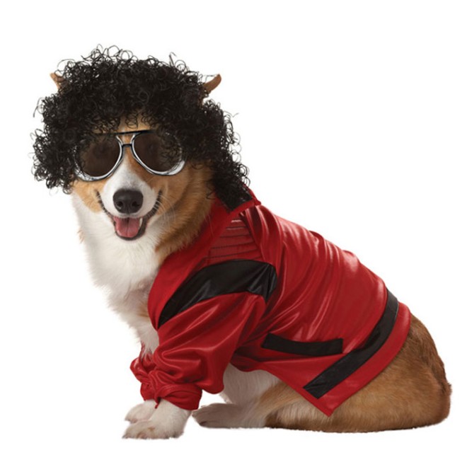 Hundekostüm Atze Gr. XS