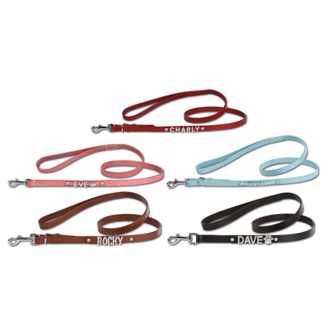 Hundeleine mit Namen personalisierbar 15 mm Breite