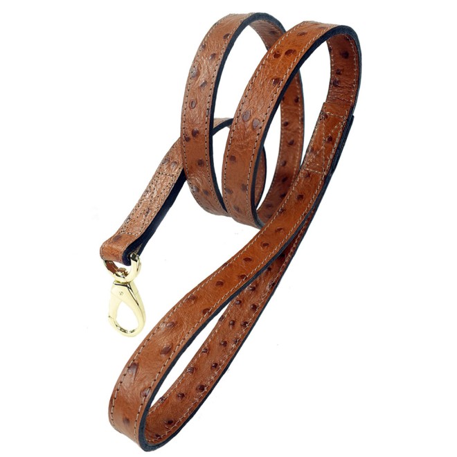 Hundehalsband mit Trensenstück Hardware 22 Karat vergoldet