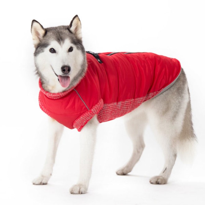 Hundemantel Athletic - NY-Kollektion Gr. XL