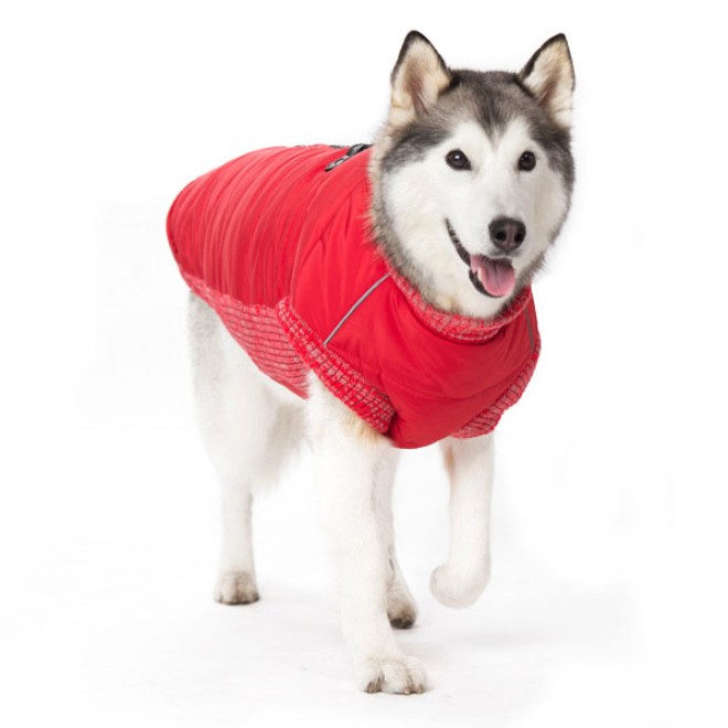 Hundemantel Athletic - NY-Kollektion Gr. XL