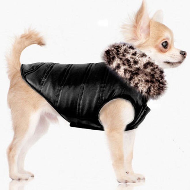 Milk & Pepper Stepp-Hundemantel Serengeti mit Leo-Fellkragen