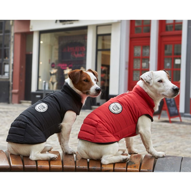 Sportiver Hundemantel rot Gr. 25