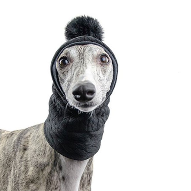 Strick-Hundemütze Bommelbello