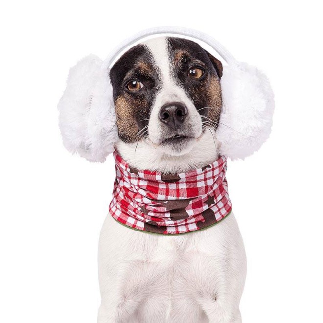 Doggyloop EDDY ELCH Gr. S, XL, XXL