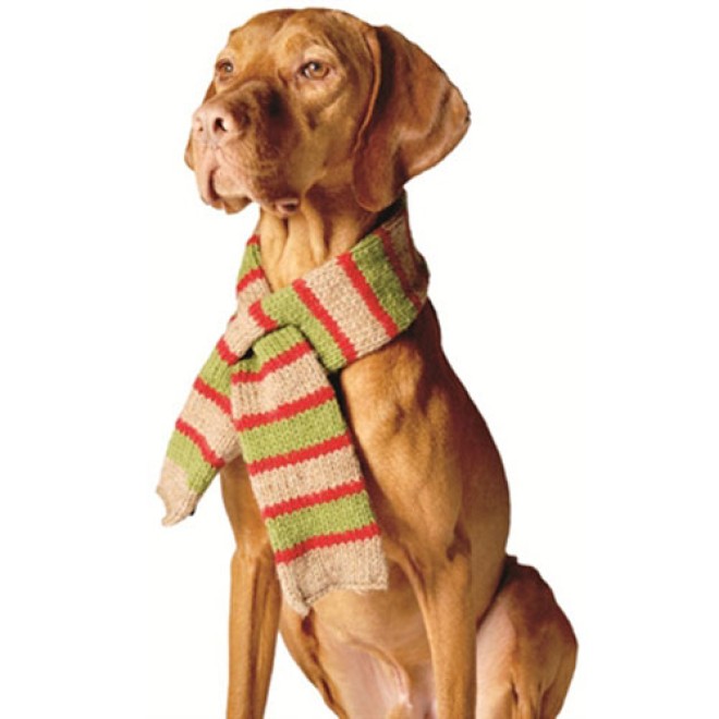 Hundeschal Oslo 75 cm Länge