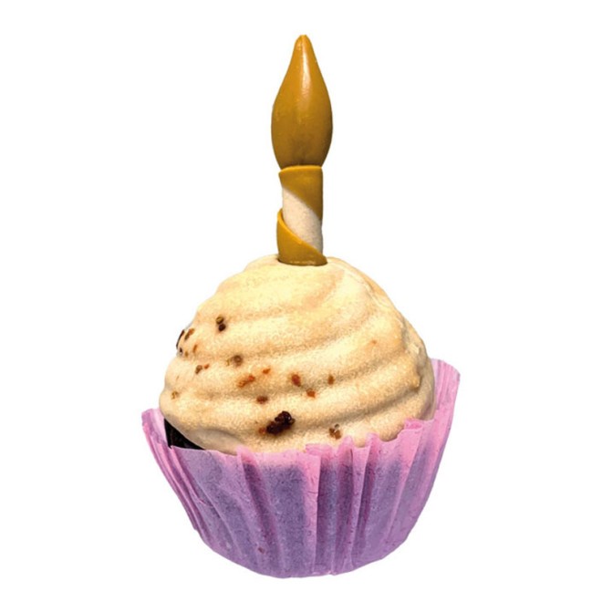 Hundesnack Cupcake mit Kerze