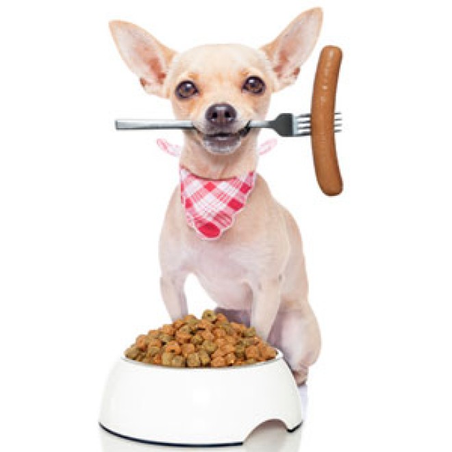 Hunde-Überraschungspaket SNACK ATTACK