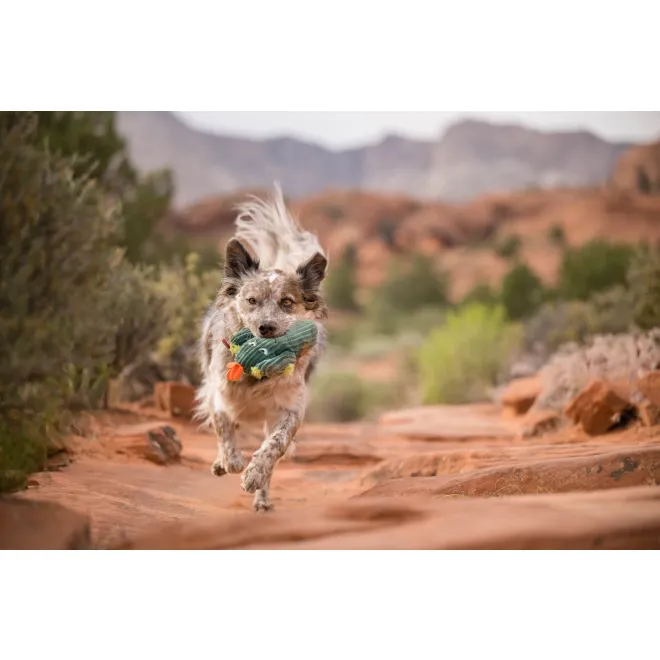 Extra robustes Hundespielzeug BLOOMING-COLLECTION