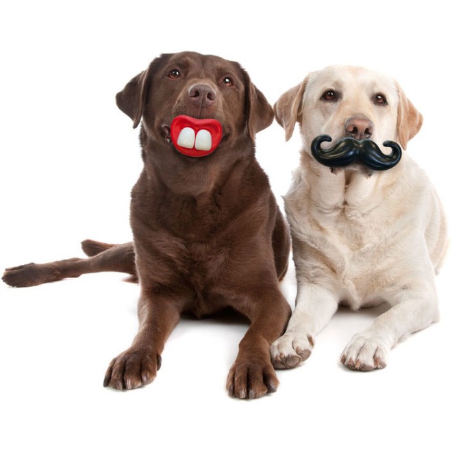 Vollgummi-Hundespielzeug Hasenzähne & Schnauzbart