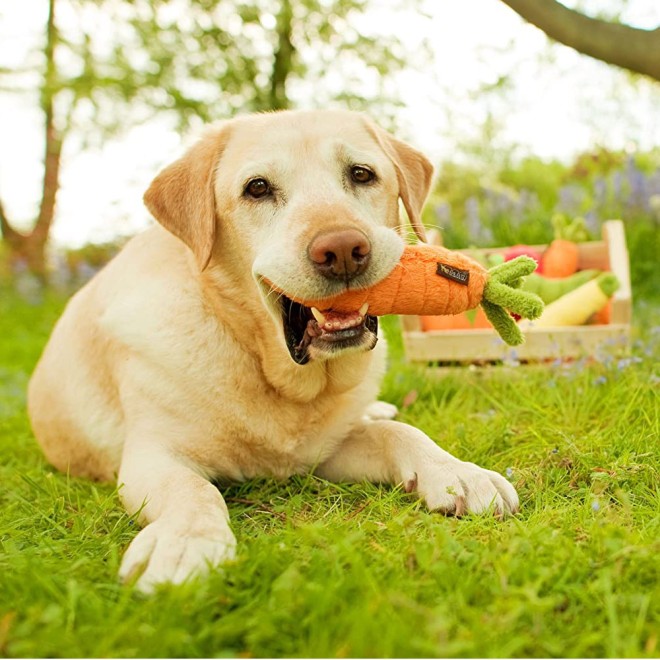 Robustes Hundespielzeug Lieblingsmöhre