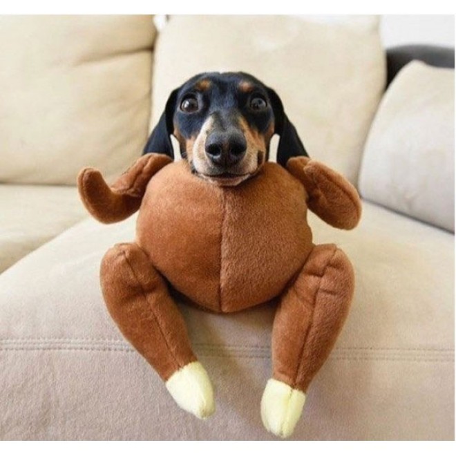 Hundespielzeug Turkey Extra-Strong