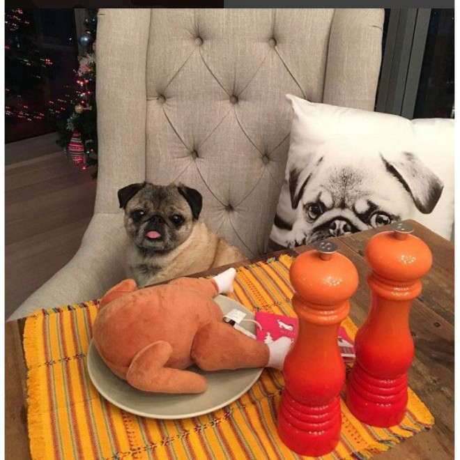 Hundespielzeug Turkey Extra-Strong