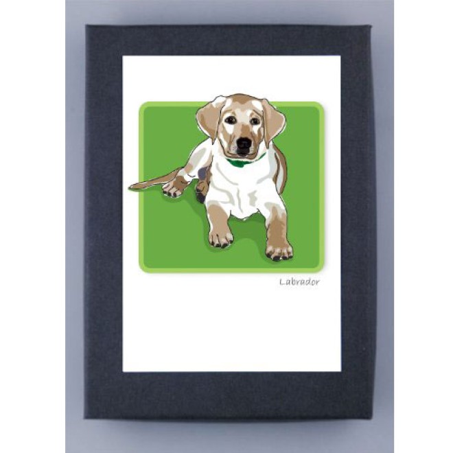 Grußkartenset Labradorwelpe