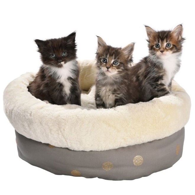 Katzen-Kuschelbett DOTTY taupe/gold