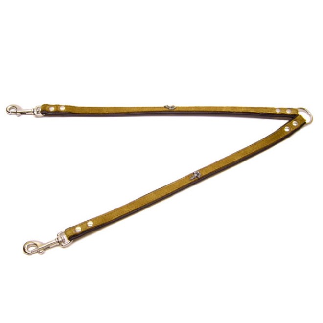 Koppelleine Starnberg mit Alpenmotiv