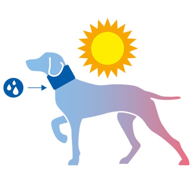 Hundeschal Doggyloop CANICASUAL Grösse XXS