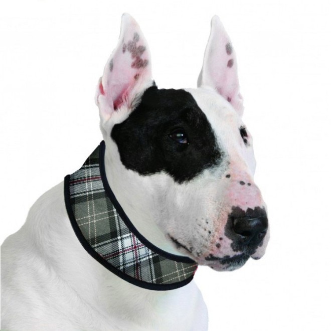 Aqua Coolkeeper Kühlhalsband Scottish Grey