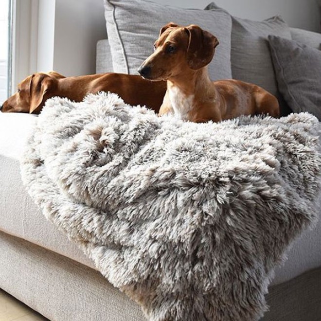 Super flauschige Webpelz-Hundedecke für Hunde & Katzen
