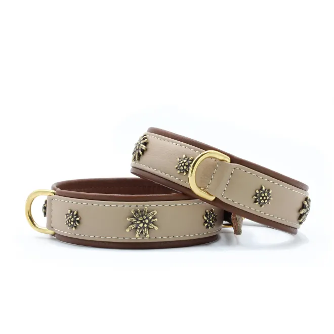 Leder-Hundehalsband Alpen Edelweiß