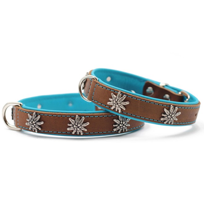 Leder-Hundehalsband Edelweiß petrol