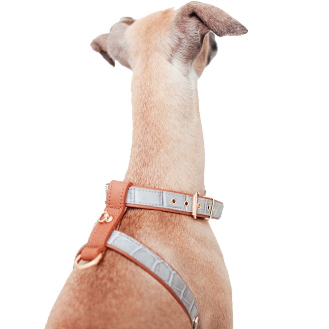 Exklusives Leder-Hundegeschirr Milano Grey