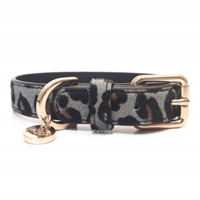Milk & Pepper Hundehalsband Panther Leo-Design grau