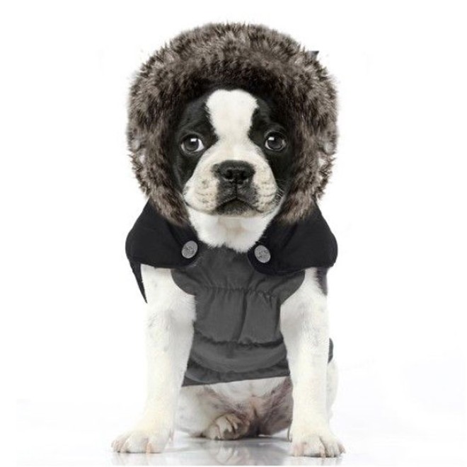 Milk & Pepper wasserabweisender Hundemantel Gazoline auch für Mops & Bully