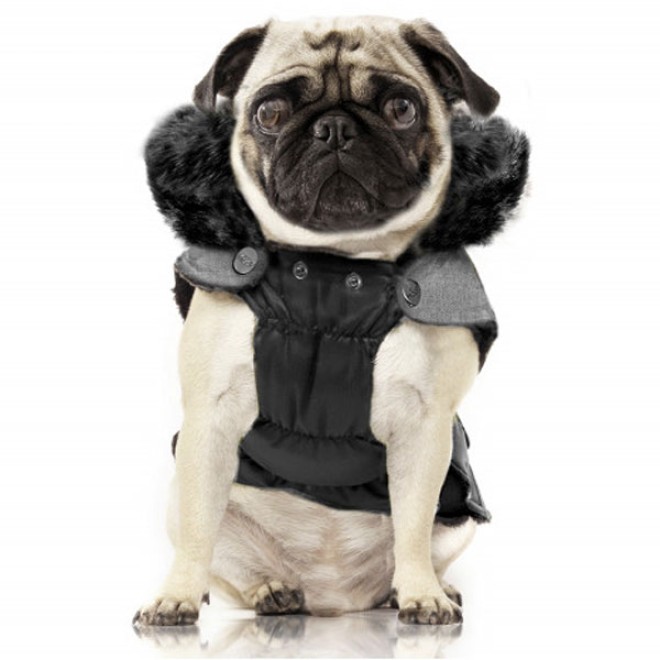 Milk & Pepper wasserabweisender Hundemantel Harlington auch für Mops & Bully