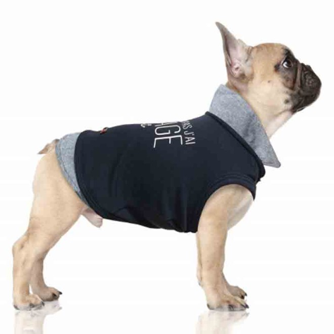 Maritimes Poloshirt für Hunde TRISTAN Milk & Pepper