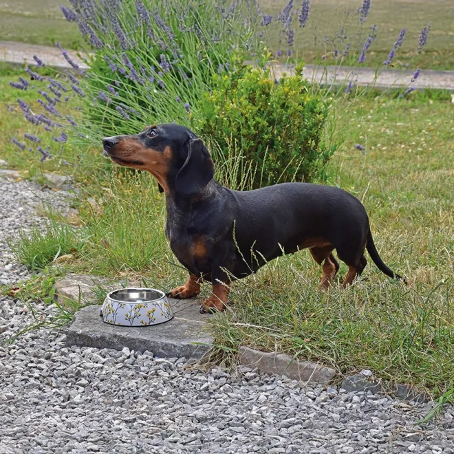 Melamin-Futternapf Poilu Fleur mit herausnehmbarer Edelstahl Futterschale