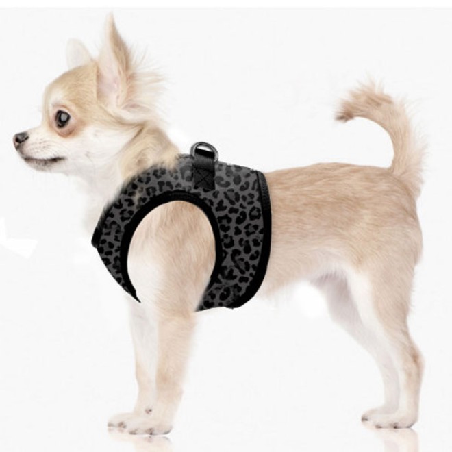 Milk & Pepper Hundegeschirr Tanzania Leo-Design Leopard grau