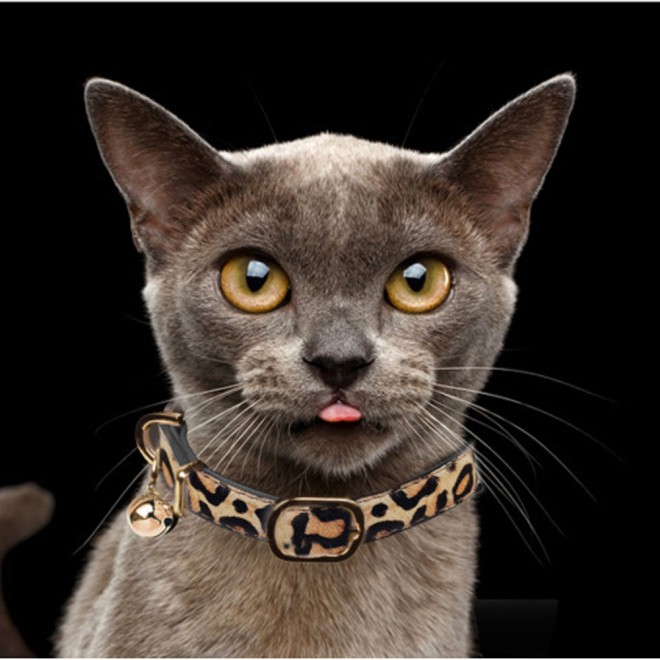 Milk & Pepper Leder-Katzenhalsband Leoparden Design