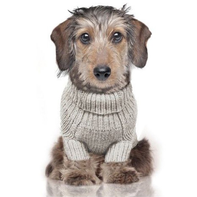 Milk & Pepper Strick-Hundepullover Irish Ecru