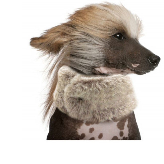 Milk & Pepper Snood KIRILL Kuschelfell beige für Hunde