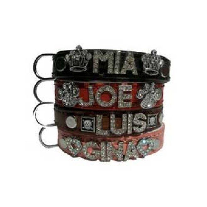 Namenshalsband für Hunde hellblau