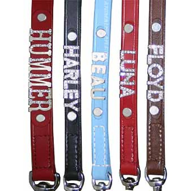 Hundeleine mit Namen personalisierbar 15 mm Breite