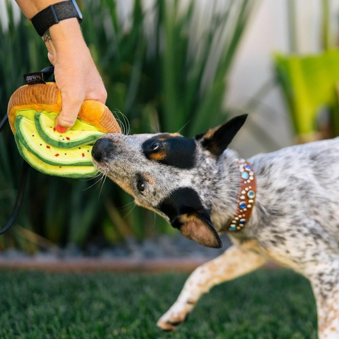 Robustes Plüsch-Hundespielzeug AVOCADOTOAST von P.L.A.Y.