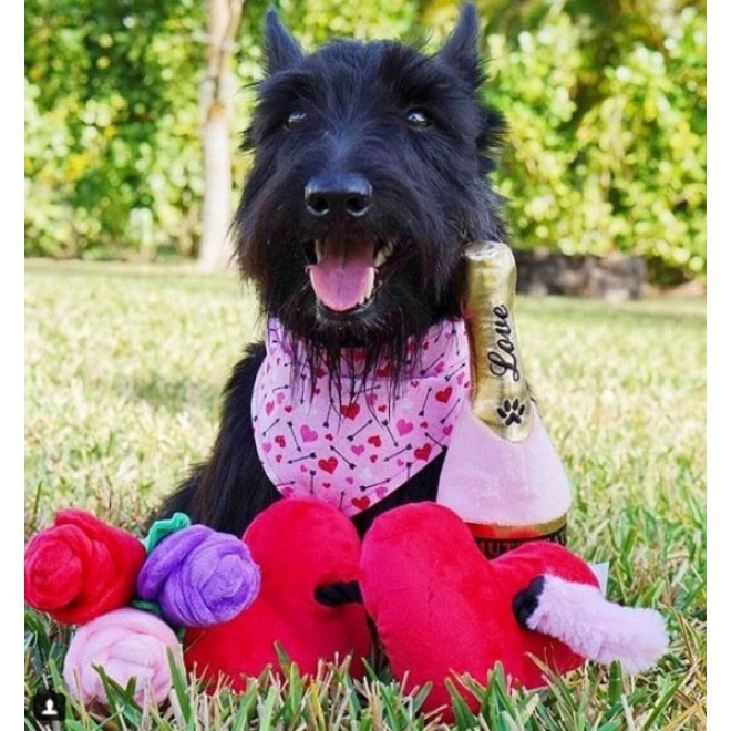 Robustes Herz-Hundespielzeug FOREVER IN LOVE