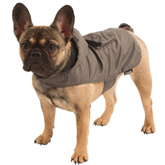 Hunde-Regenmantel Seatlle