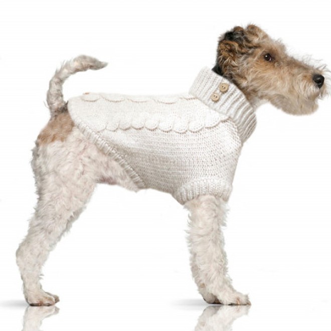 Zopfstrick-Hundepullover Donovan off-white