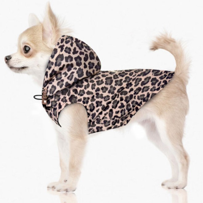 Hunderegenjacke SANGHA Leopard von Milk & Pepper