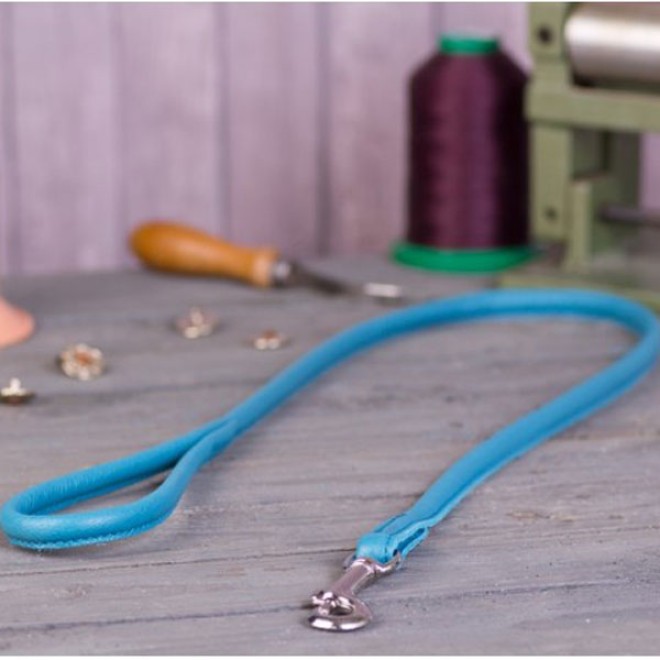 Rundleine Nappaleder 1,20 m türkis, 10 mm, Karabiner gold