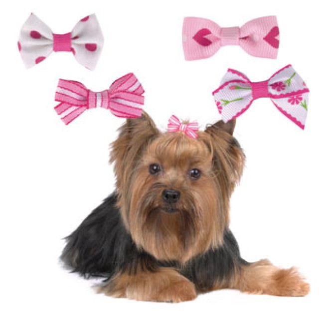 Hunde-Haargummi-Set Lady in Pink