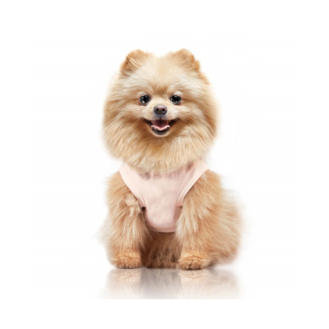 Rosa Hunde-T-Shirt AZUMI BE HAPPY