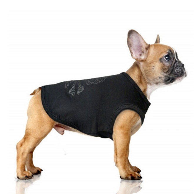 Milk & Pepper Skull-Hundeshirt ROCK STAR JIMI