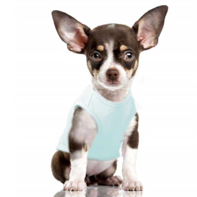Milk & Pepper Surfer-Hundeshirt MANEA aus Baumwollgemisch