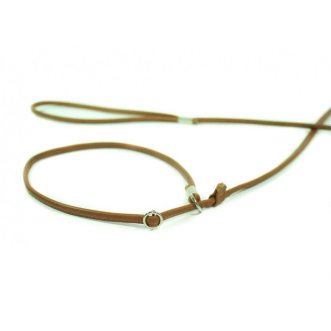 Showleine für kleine bis mittelgroße Hunde in 5 Farben