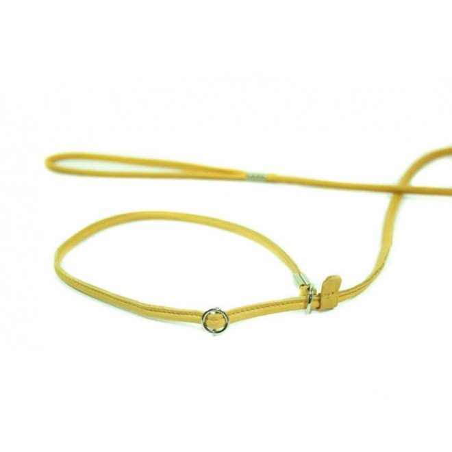 Showleine für kleine bis mittelgroße Hunde in 5 Farben