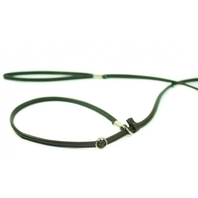 Showleine für kleine bis mittelgroße Hunde in 5 Farben